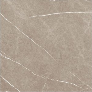 Carrelage sol intérieur Grés cérame rectifié ETERNAL TAUPE NATURAL 60x60
