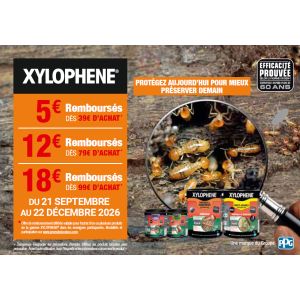 Traitement bois extérieur EVO+ Incolore 6L