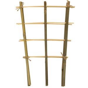 TUTEUR ECHELLE BAMBOU 35X18CM