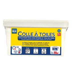 COLLE TOILE DE VERRE 10 KG