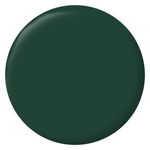 LAQUE GLYCERO VERT BASQUE RAL 6005 BRILLANT 0,5L