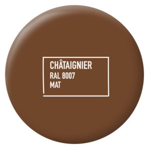 MA PEINTURE TOUS SUPPORTS CHATAIGNIER RAL 8007 MAT 0,5L