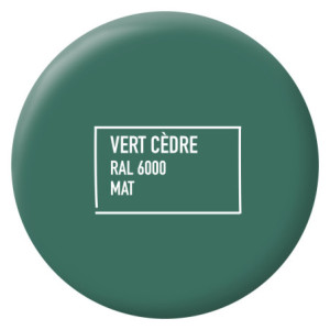 MA PEINTURE TOUS SUPPORTS VERT CEDRE RAL 6000 MAT 0,5L