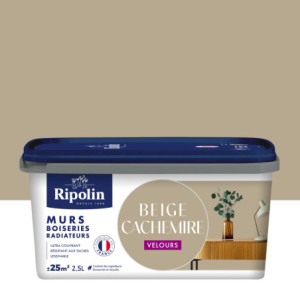 PEINTURE MURS BOISERIES RADIATEURS BEIGE CACHEMIRE VELOURS 2,5L