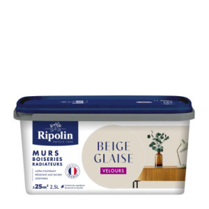 PEINTURE MURS BOISERIES RADIATEURS BEIGE GLAISE VELOURS 2,5L