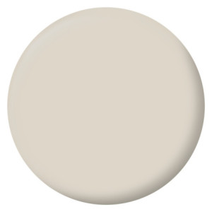 PEINTURE MURS BOISERIES RADIATEURS BEIGE GLAISE VELOURS 2,5L