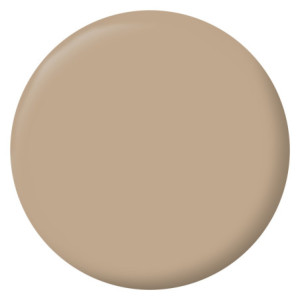 PEINTURE MURS BOISERIES RADIATEURS BEIGE PLAGE VELOURS 0,5L