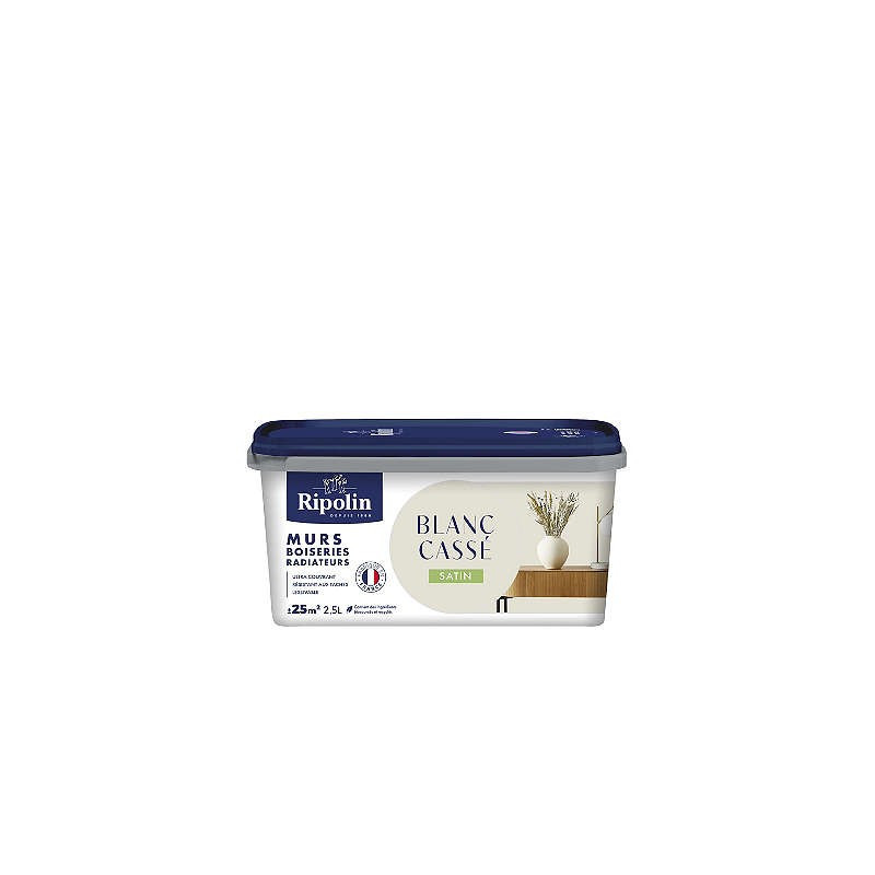 PEINTURE MURS BOISERIES RADIATEURS BLANC CASSE SATIN 2,5L