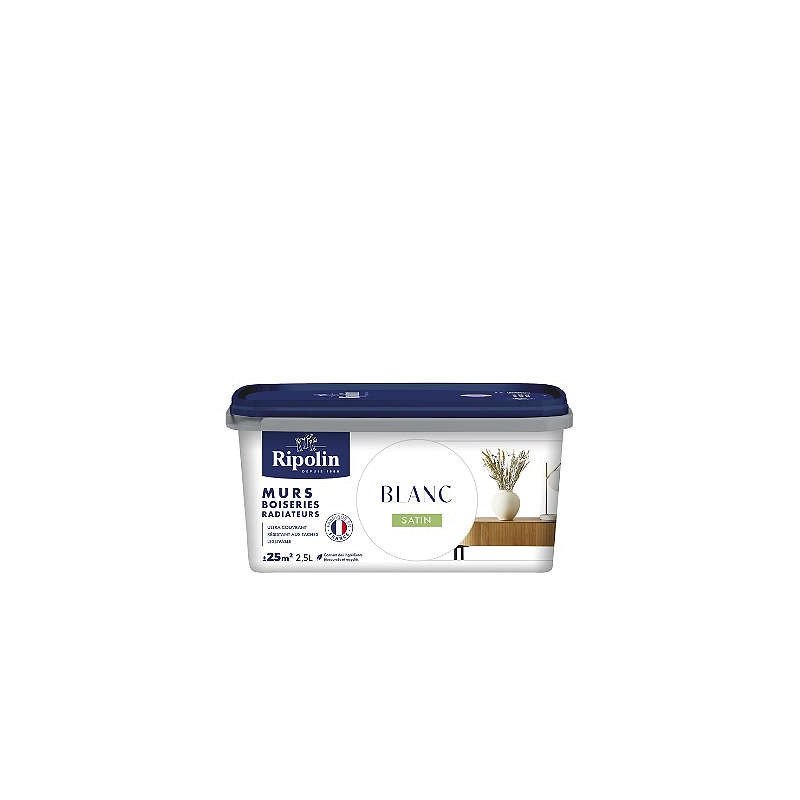 PEINTURE MURS BOISERIES RADIATEURS BLANC SATIN 2,5L