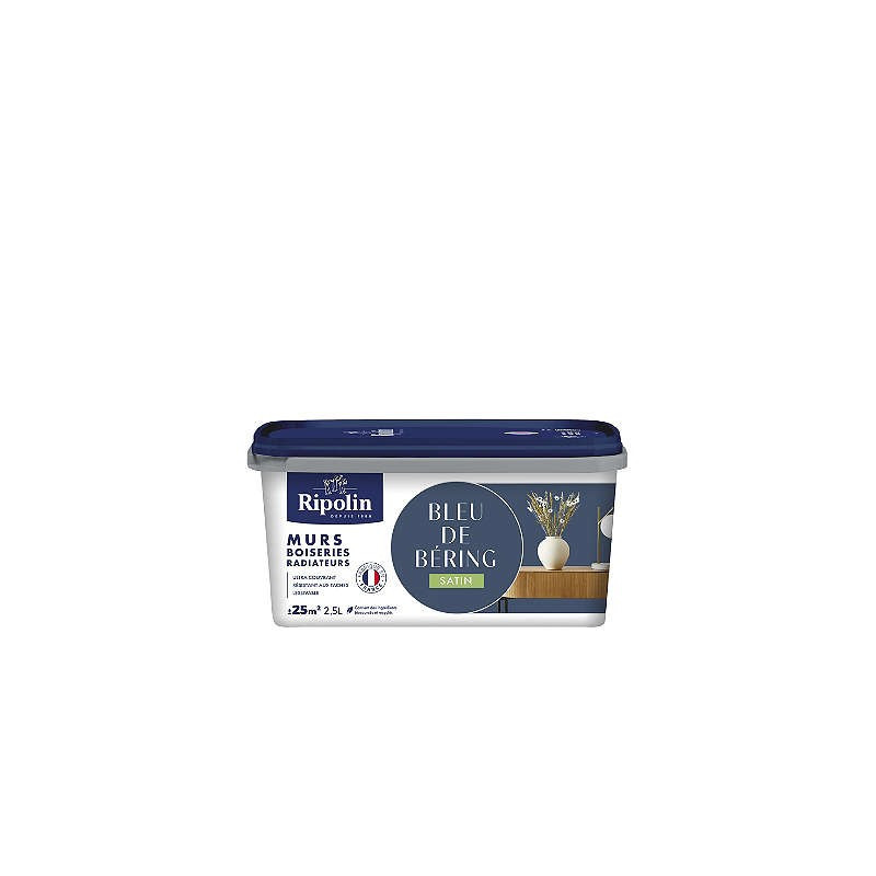 PEINTURE MURS BOISERIES RADIATEURS BLEU DE BERING SATIN 2,5L