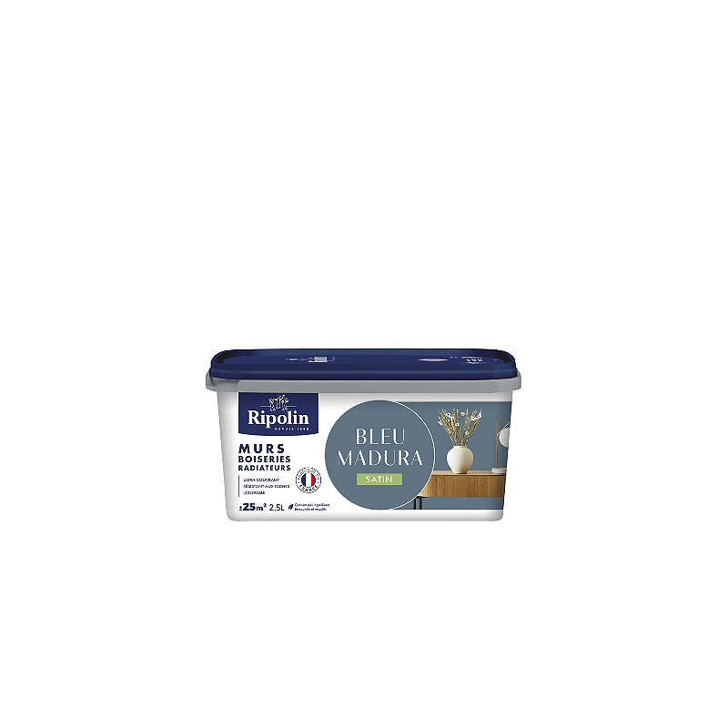 PEINTURE MURS BOISERIES RADIATEURS BLEU MADURA SATIN 2,5L