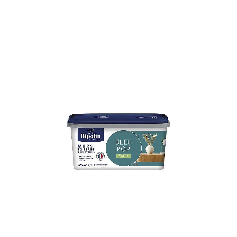 PEINTURE MURS BOISERIES RADIATEURS BLEU POP SATIN 2,5L