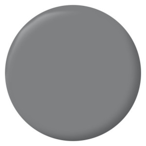 PEINTURE MURS BOISERIES RADIATEURS GRIS ARDOISE VELOURS 0,5L