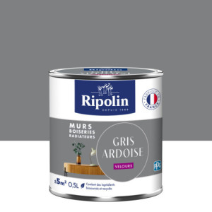 PEINTURE MURS BOISERIES RADIATEURS GRIS ARDOISE VELOURS 0,5L