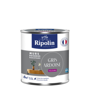 PEINTURE MURS BOISERIES RADIATEURS GRIS ARDOISE VELOURS 0,5L