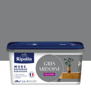 PEINTURE MURS BOISERIES RADIATEURS GRIS ARDOISE VELOURS 2,5L
