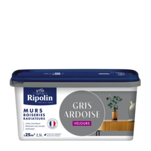 PEINTURE MURS BOISERIES RADIATEURS GRIS ARDOISE VELOURS 2,5L