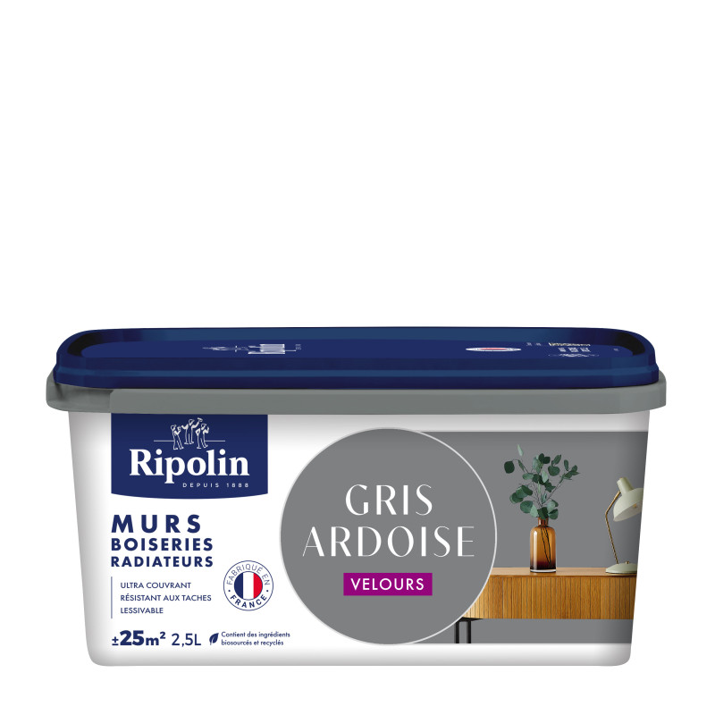 PEINTURE MURS BOISERIES RADIATEURS GRIS ARDOISE VELOURS 2,5L