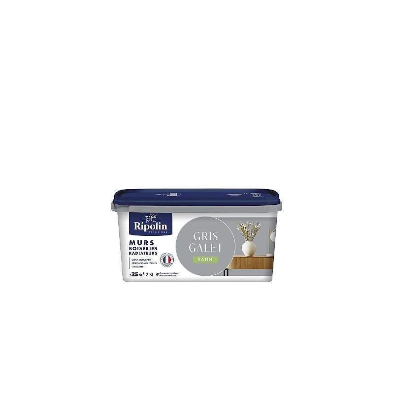 PEINTURE MURS BOISERIES RADIATEURS GRIS GALET SATIN 2,5L