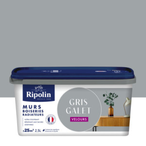 PEINTURE MURS BOISERIES RADIATEURS GRIS GALET VELOURS 2,5L