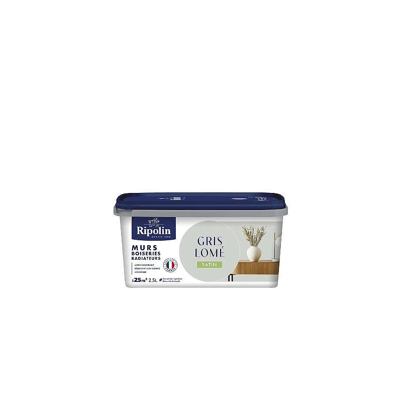 PEINTURE MURS BOISERIES RADIATEURS GRIS LOME SATIN 2,5L