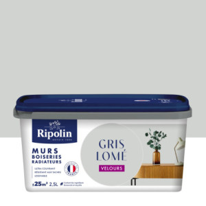 PEINTURE MURS BOISERIES RADIATEURS GRIS LOME VELOURS 2,5L