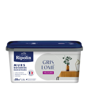 PEINTURE MURS BOISERIES RADIATEURS GRIS LOME VELOURS 2,5L