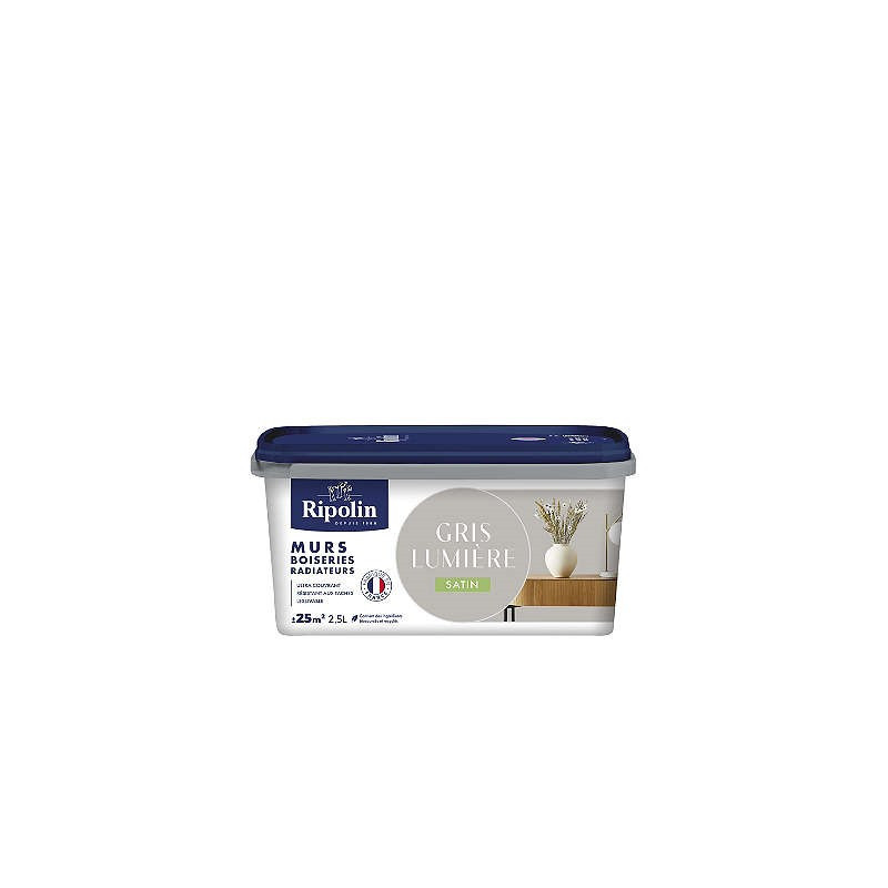 PEINTURE MURS BOISERIES RADIATEURS GRIS LUMIERE SATIN 2,5L