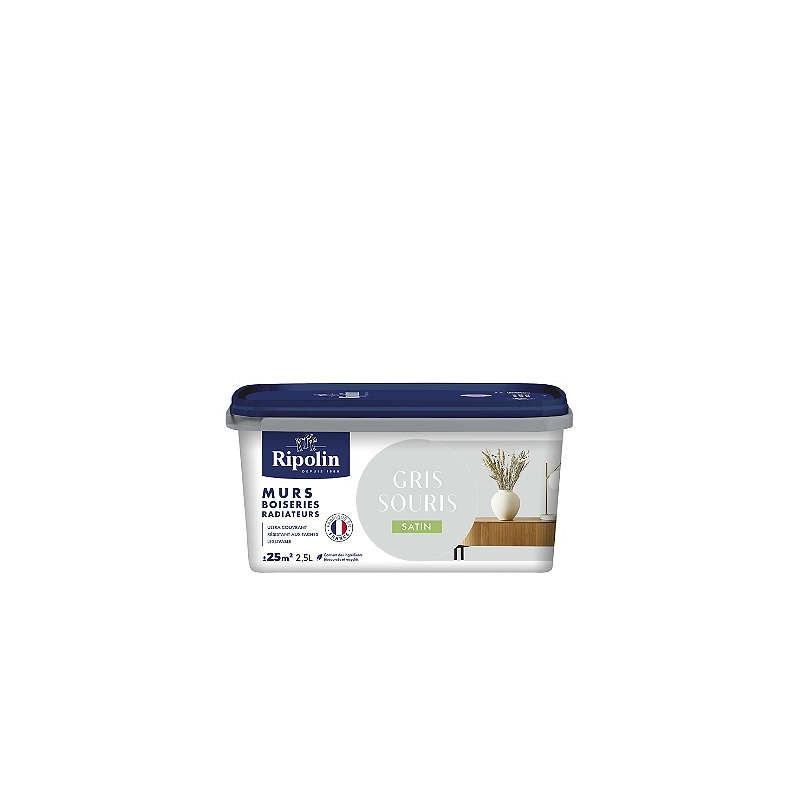 PEINTURE MURS BOISERIES RADIATEURS GRIS SOURIS SATIN 2,5L