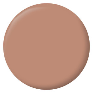 PEINTURE MURS BOISERIES RADIATEURS OCRE WADI VELOURS 2,5L