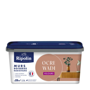 PEINTURE MURS BOISERIES RADIATEURS OCRE WADI VELOURS 2,5L