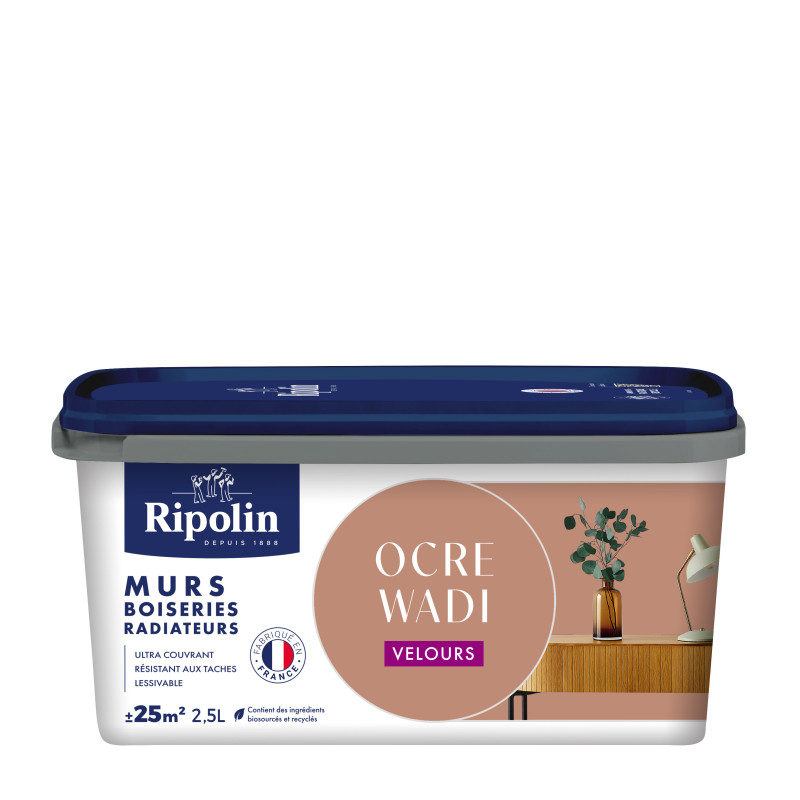 PEINTURE MURS BOISERIES RADIATEURS OCRE WADI VELOURS 2,5L