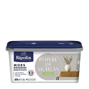 PEINTURE MURS BOISERIES RADIATEURS POIVRE DE SICHUAN SATIN 2,5L