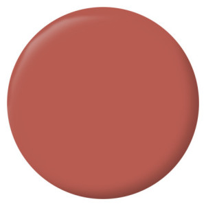 PEINTURE MURS BOISERIES RADIATEURS ROUGE CHIANTI VELOURS 2,5L