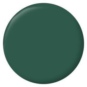 PEINTURE MURS BOISERIES RADIATEURS VERT CARDO SATIN 2,5L
