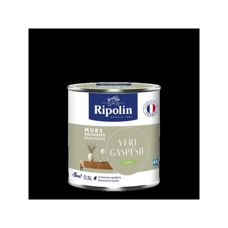 PEINTURE MURS BOISERIES RADIATEURS VERT GASPESIE SATIN 0,5L