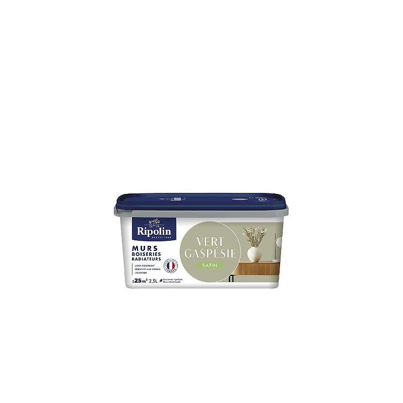 PEINTURE MURS BOISERIES RADIATEURS VERT GASPESIE SATIN 2,5L