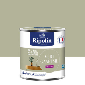 PEINTURE MURS BOISERIES RADIATEURS VERT GASPESIE VELOURS 0,5L