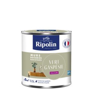 PEINTURE MURS BOISERIES RADIATEURS VERT GASPESIE VELOURS 0,5L
