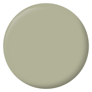 PEINTURE MURS BOISERIES RADIATEURS VERT GASPESIE VELOURS 0,5L
