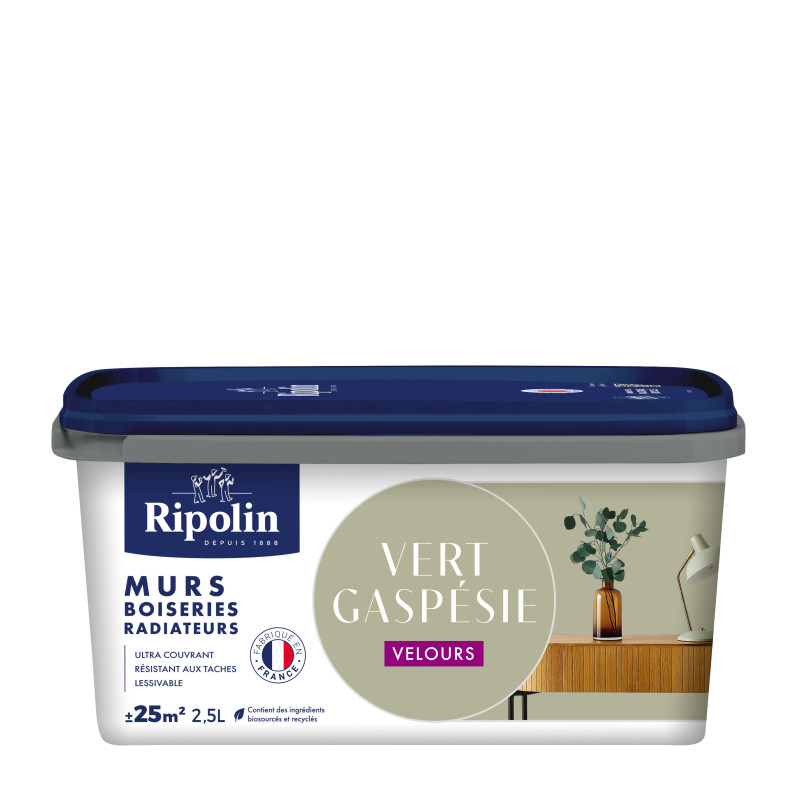 PEINTURE MURS BOISERIES RADIATEURS VERT GASPESIE VELOURS 2,5L