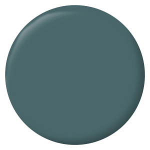 PEINTURE MURS BOISERIES RADIATEURS VERT HOSTA SATIN 2,5L