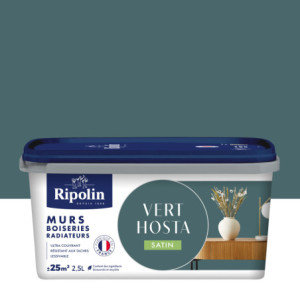 PEINTURE MURS BOISERIES RADIATEURS VERT HOSTA SATIN 2,5L