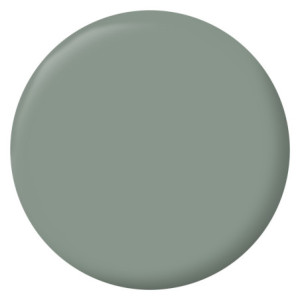 PEINTURE MURS BOISERIES RADIATEURS VERT NOBILE SATIN 2,5L