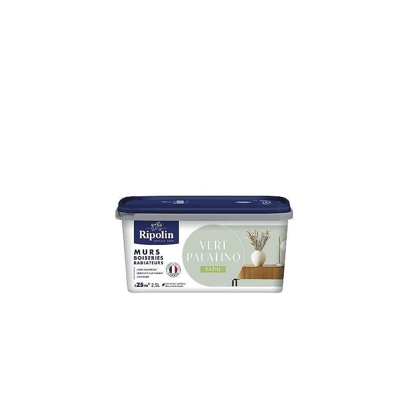 PEINTURE MURS BOISERIES RADIATEURS VERT PALATINO SATIN 2,5L