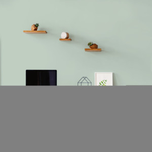 PEINTURE MURS BOISERIES RADIATEURS VERT PALATINO VELOURS 0,5L