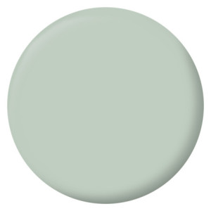 PEINTURE MURS BOISERIES RADIATEURS VERT PALATINO VELOURS 2,5L