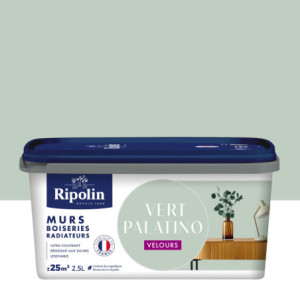 PEINTURE MURS BOISERIES RADIATEURS VERT PALATINO VELOURS 2,5L