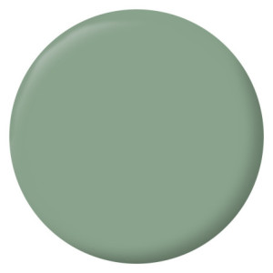 PEINTURE MURS BOISERIES RADIATEURS VERT SIMSUN VELOURS 2,5L