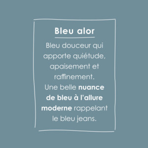 O'PUR PEINTURE MURS BOISERIES RADIATEURS BLEU ALOR SATIN VELOUTE 0,5L